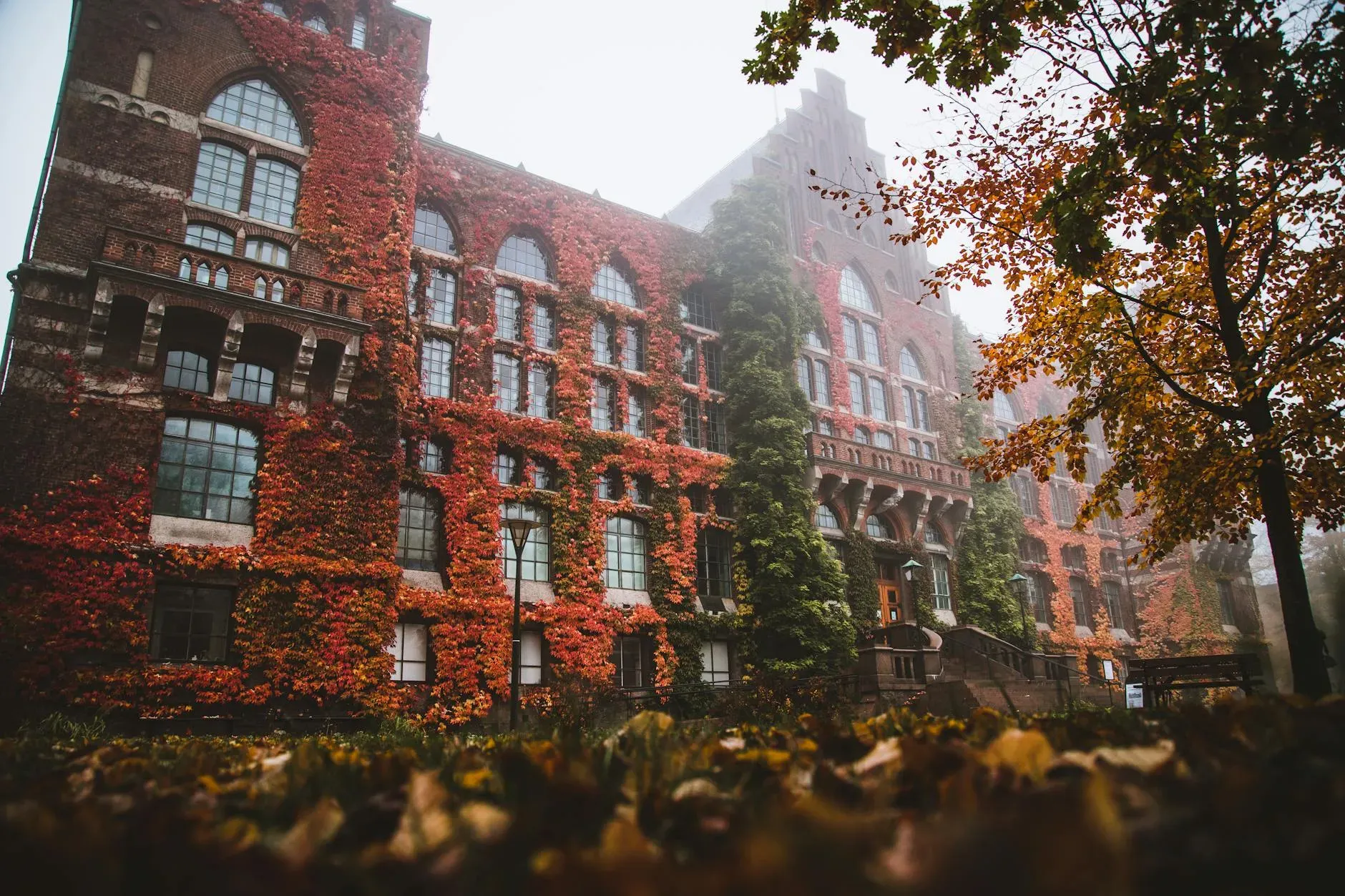 Aro Ter Lineage — The center is located in Lund, a city in southern Sweden known for its university and historic charm. While the exact setting within Lund is not specified, one can anticipate a calm, urban environment conducive to study and practice, perhaps within a residential area.