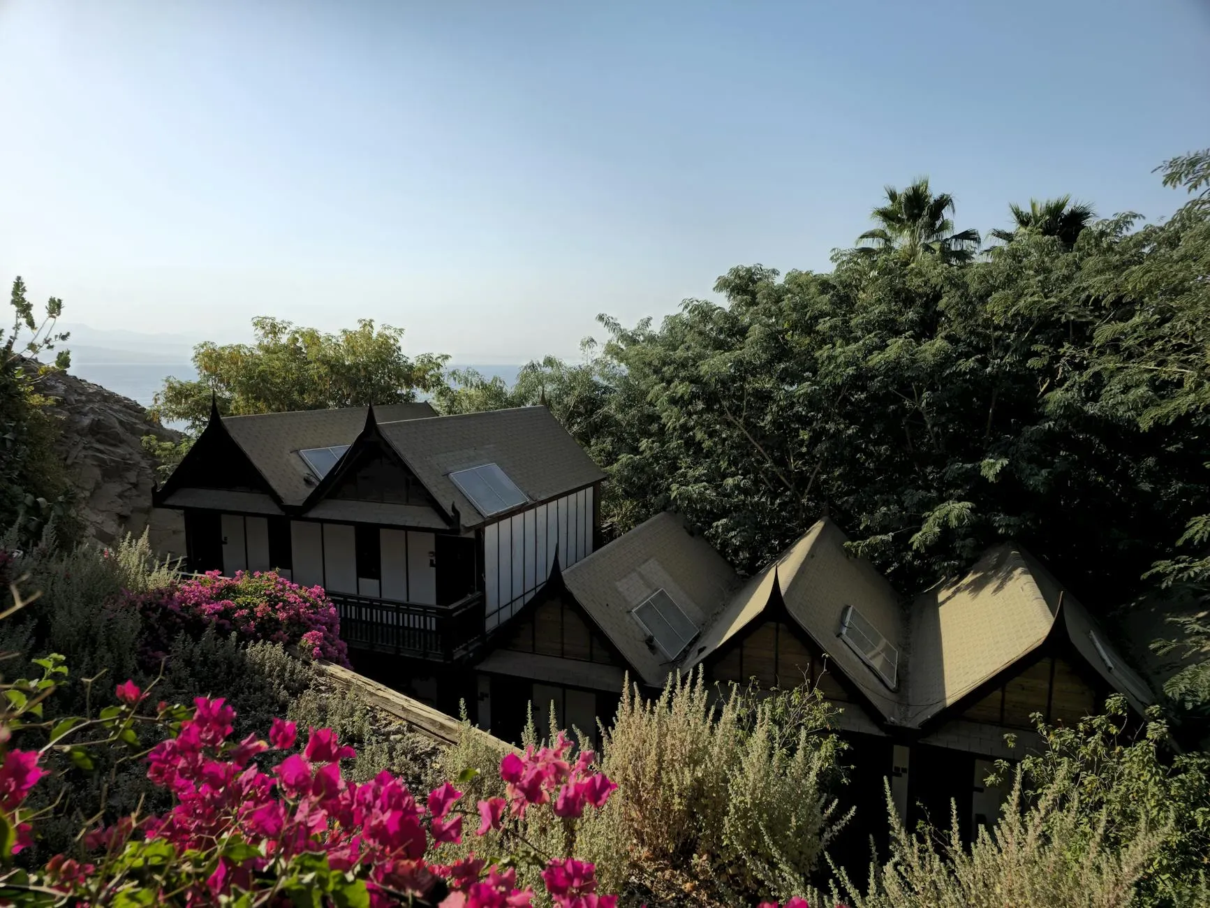 Beit Hashita (CMI)