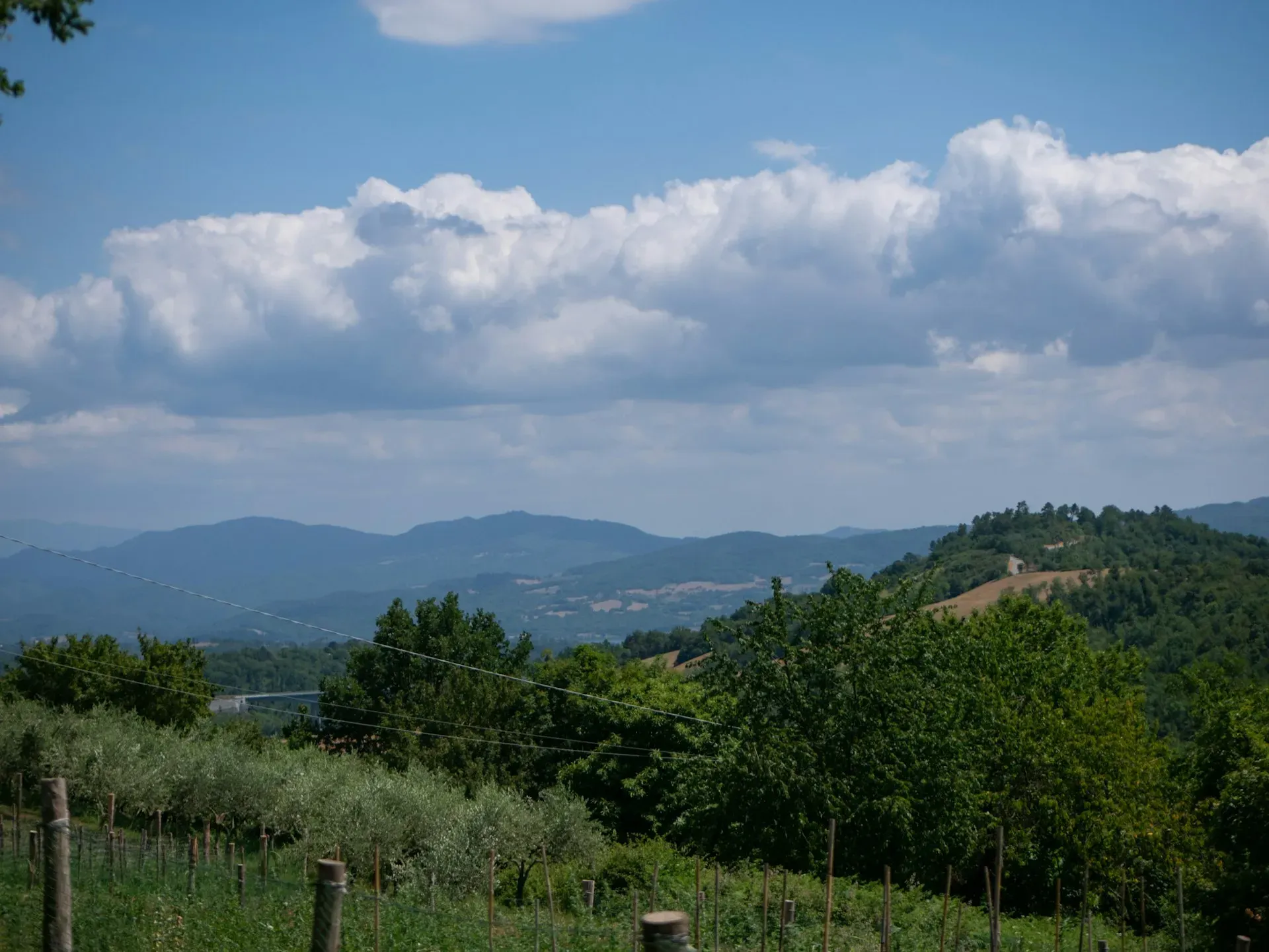 Agriturismo Sant'Angelo — The center is situated in the heart of South-Eastern Tuscany, enveloped by picturesque rolling hills and lush vineyards. Its proximity to historic towns like Cortona, Montepulciano, and Arezzo imbues the atmosphere with a sense of timeless Italian beauty and rural serenity.