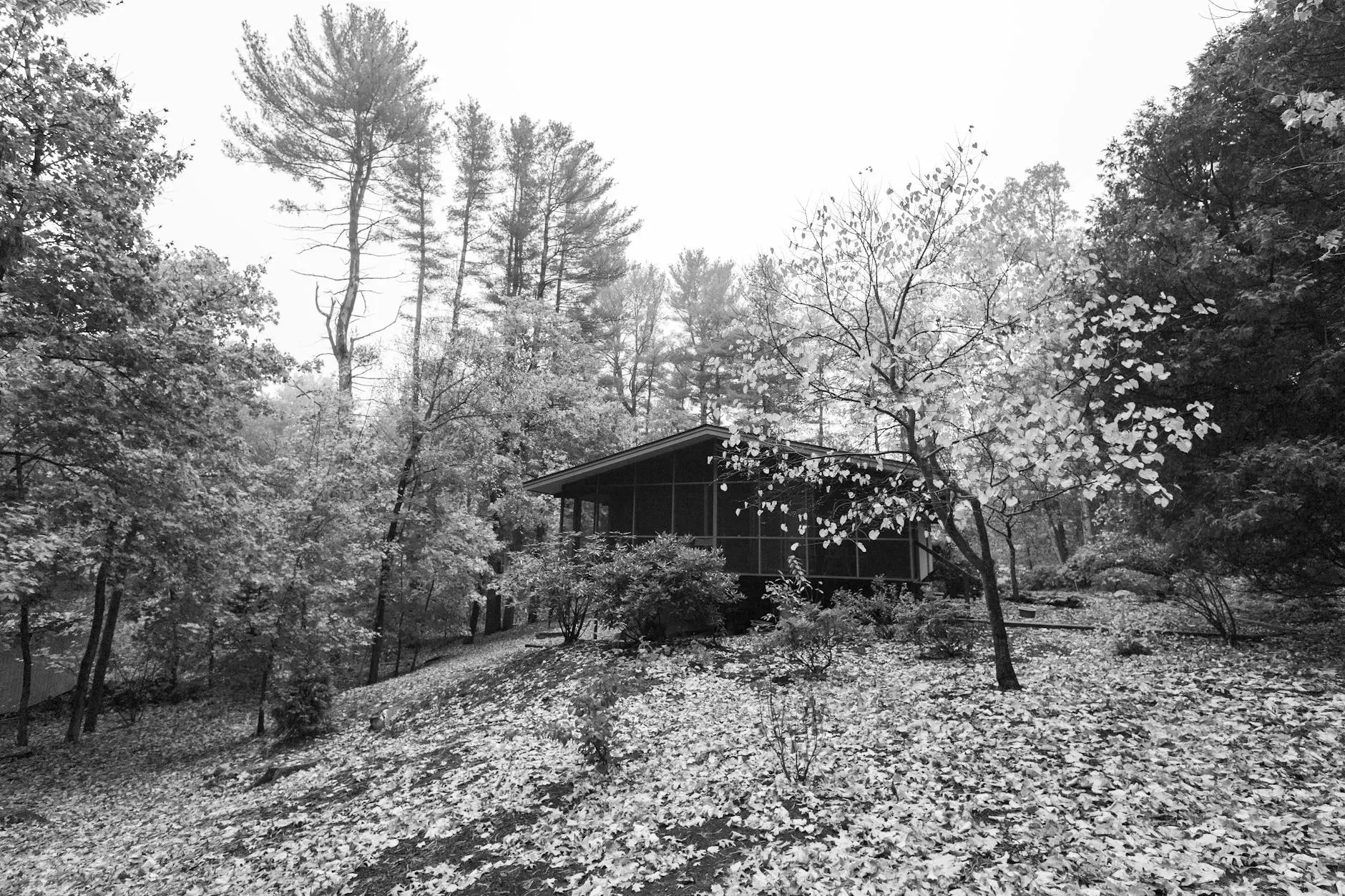 Ananda Dhiira — The center is nestled within a beautiful oak forest, offering a peaceful natural environment. Guests can enjoy a fifteen-minute walk to the South Yuba River, and the clear night skies provide stunning views of the stars.