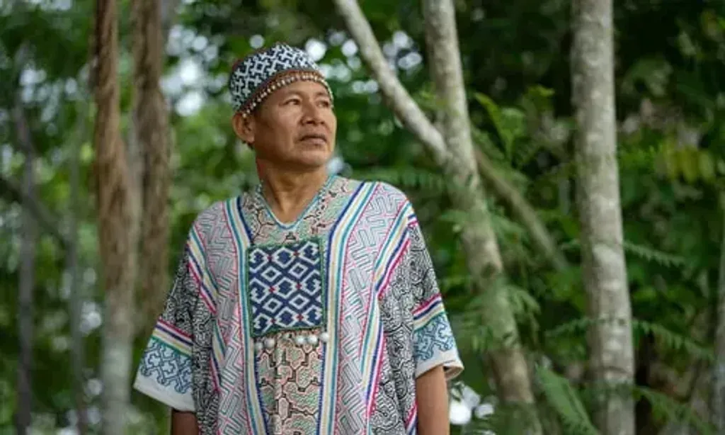 APL SHAMANIC JOURNEYS
