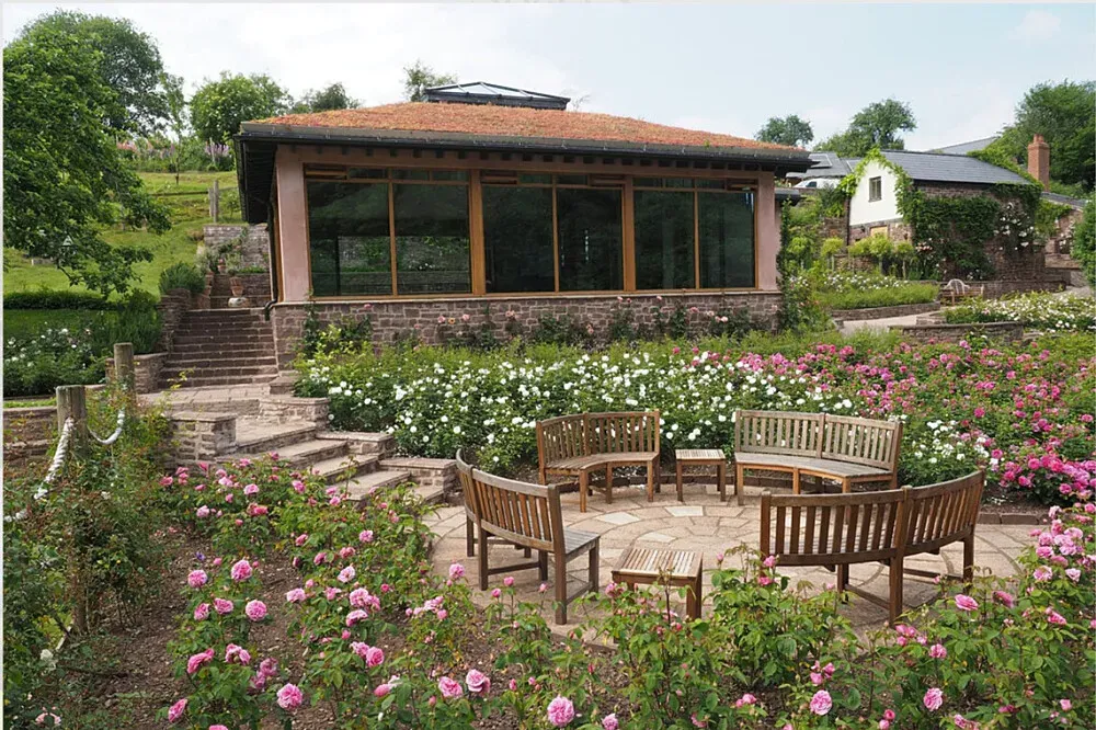 Asha Centre