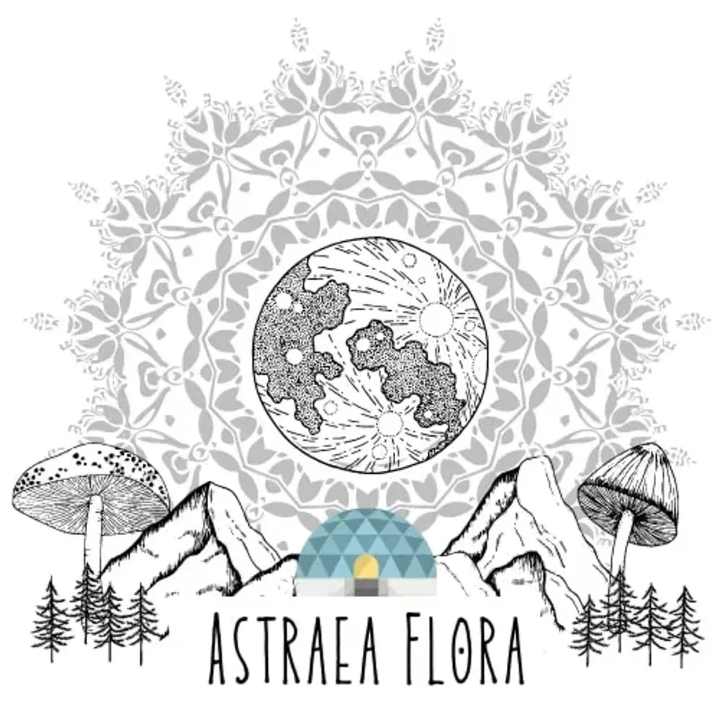 Astraea Flora — The center is situated in the picturesque Andalusian countryside, surrounded by ancient olive trees. Guests can enjoy views overlooking a tranquil forest and the soothing sounds of a nearby river, creating a peaceful and natural atmosphere for reflection and healing.
