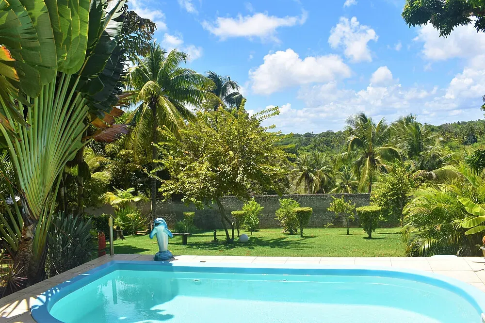 Ayahuasca Retreat Brazil