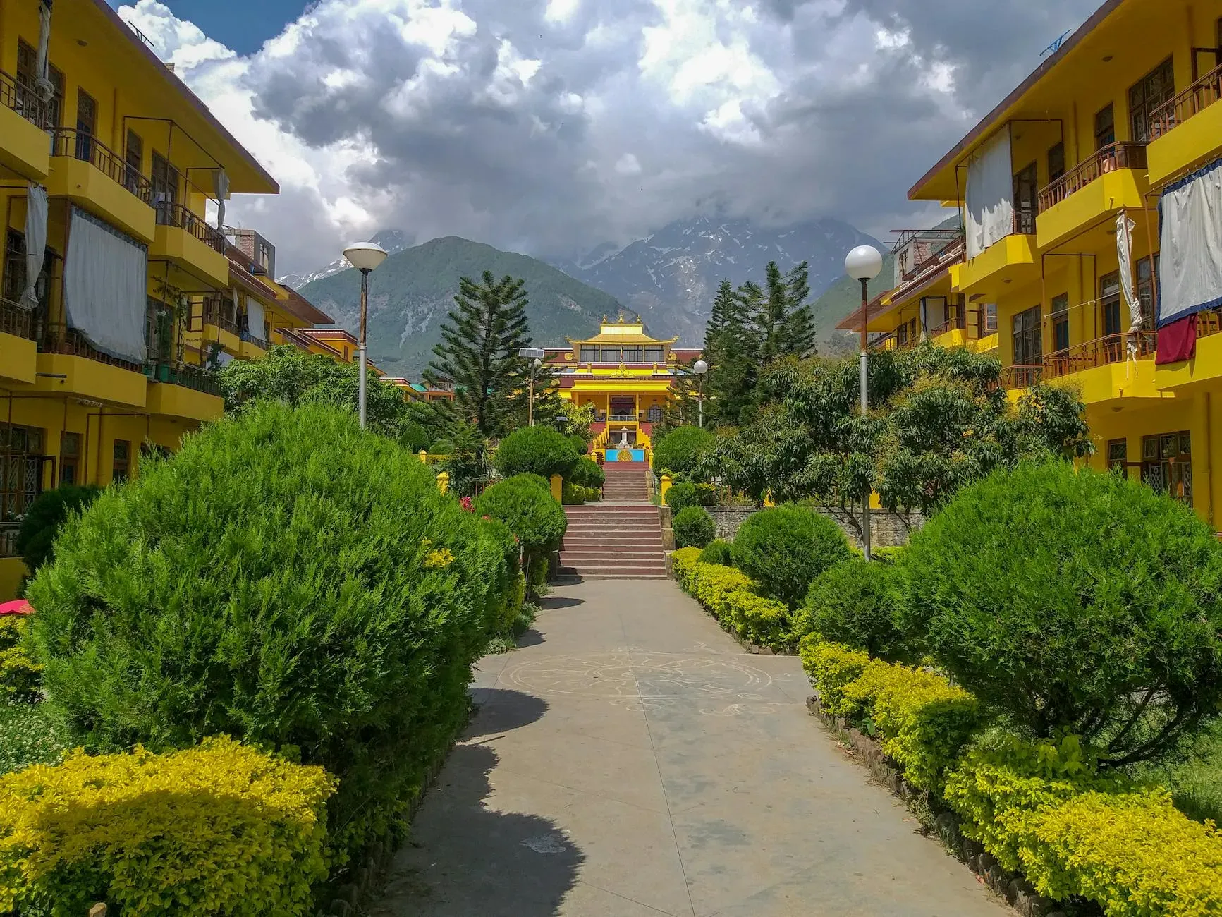 Bodhivan Farm — The farm is situated in Dharamshala, a location renowned for its natural beauty and tranquil atmosphere. While specific landscape details are not provided, one can expect a peaceful, natural environment typical of the region, offering a quiet escape from urban life.
