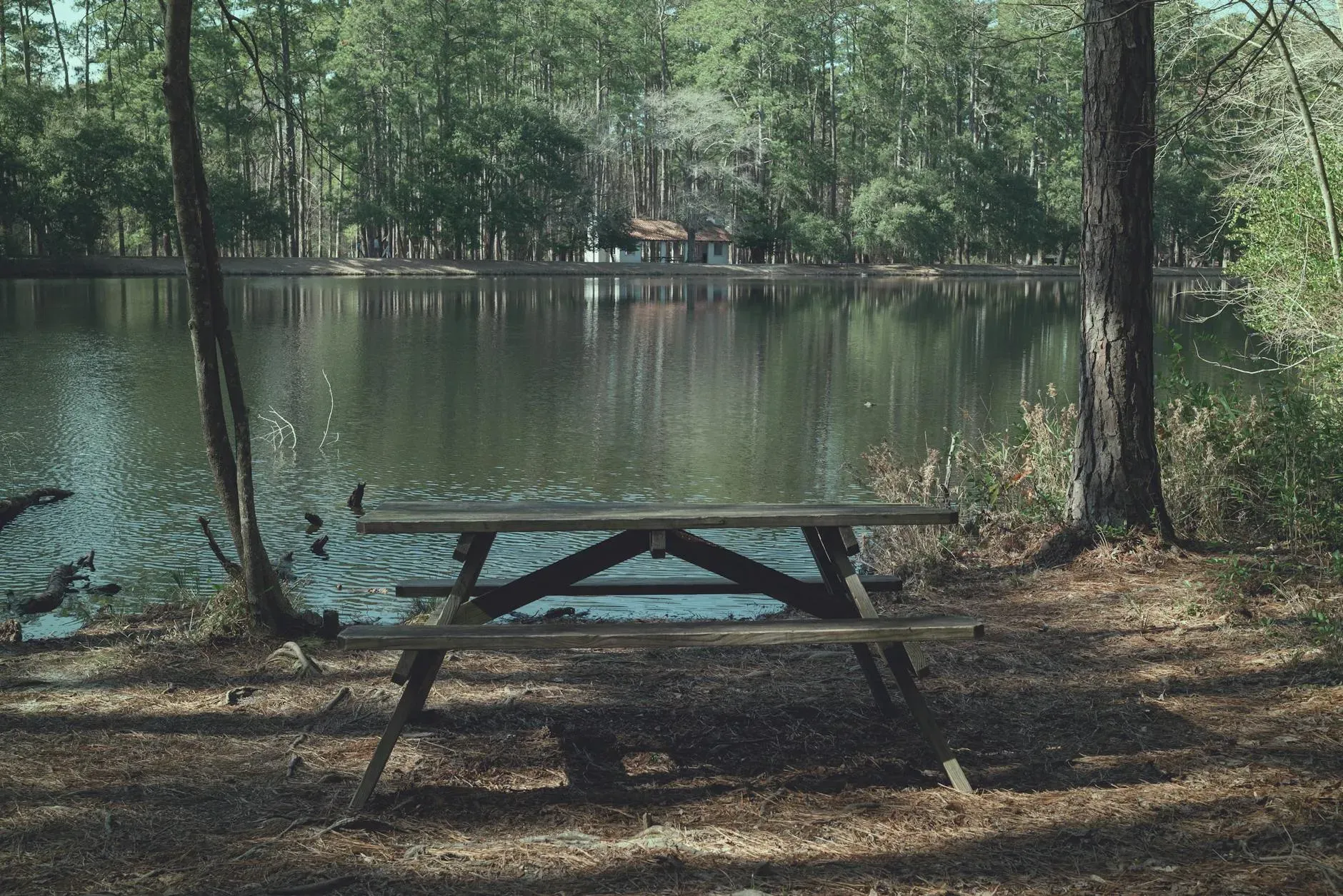 Camp Allen — The center is set on a vast 1,100-acre property, rich with mature forests and featuring two tranquil lakes. The expansive natural landscape provides a peaceful backdrop, ideal for quiet reflection and outdoor activities. Miles of walking and biking trails wind through the property, inviting exploration and connection with nature.