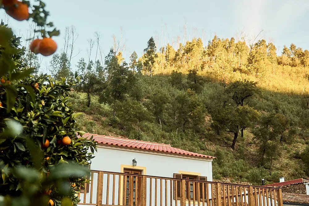 Casa de Cura — This retreat is situated in a mountain environment, fostering a quiet and natural atmosphere. The off-grid nature of the space emphasizes a connection to the earth and a simpler way of life, blending the rhythm of mountain living with ancient practices.