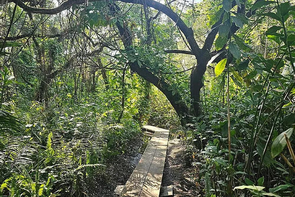 ChoZen Retreat Center — The center is set within a lush, sub-tropical environment, directly opposite the vast 22,000-acre St. Sebastian River Preserve. This setting provides a rich natural backdrop, likely filled with diverse flora and fauna, offering a tranquil and immersive experience in Florida's unique ecosystem.