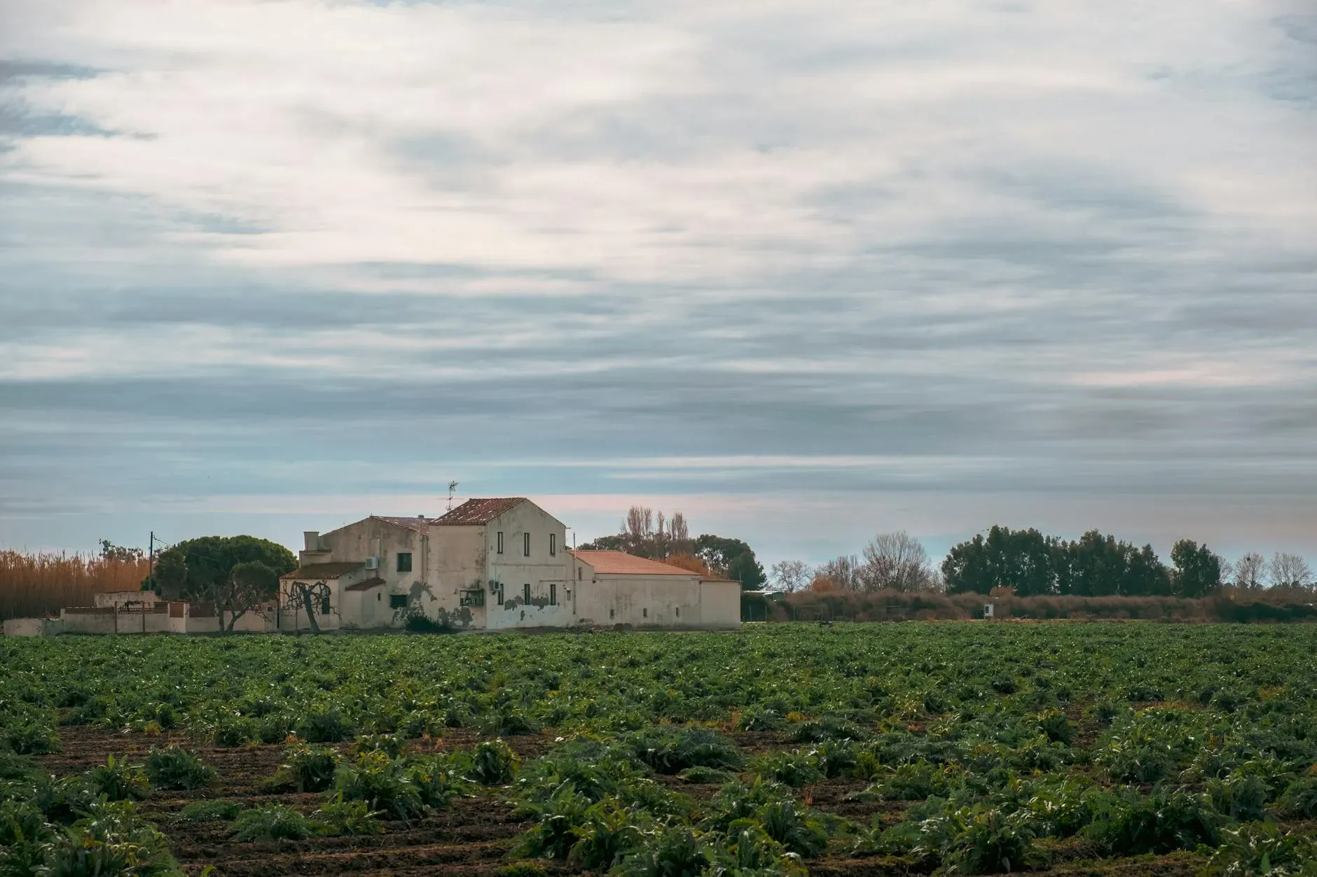 Cortijo el Cachete — The center is a renovated farmhouse nestled within 80 acres of land, extensively planted with olive groves and Spanish oak. This expansive property ensures a private and quiet atmosphere, free from immediate neighbors, fostering a deep connection with the natural landscape of Andalusia.