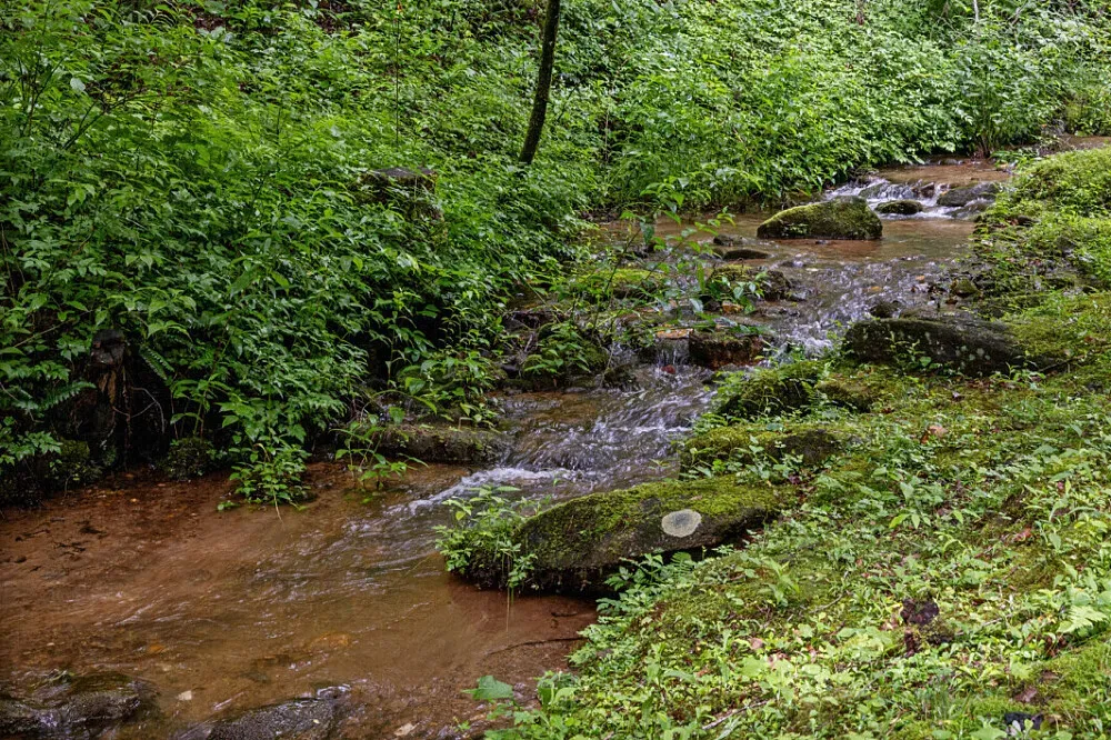 Creekside Cove Retreats — Information about the specific landscape and atmosphere of Creekside Cove Retreats is not available. However, the name suggests a location near a creek, potentially offering a tranquil natural environment.