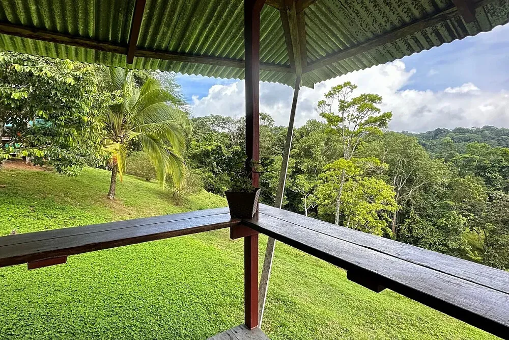 Ecoturistico La Tarde — set within the Osa Peninsula, Ecoturistico La Tarde is a sanctuary of primary rainforest. The atmosphere is one of profound natural beauty and vibrant wildlife, with the sounds and sights of the jungle creating a truly immersive experience. It's a place where the boundary between accommodation and nature blurs, offering an intimate connection with one of the world's most biodiverse ecosystems.