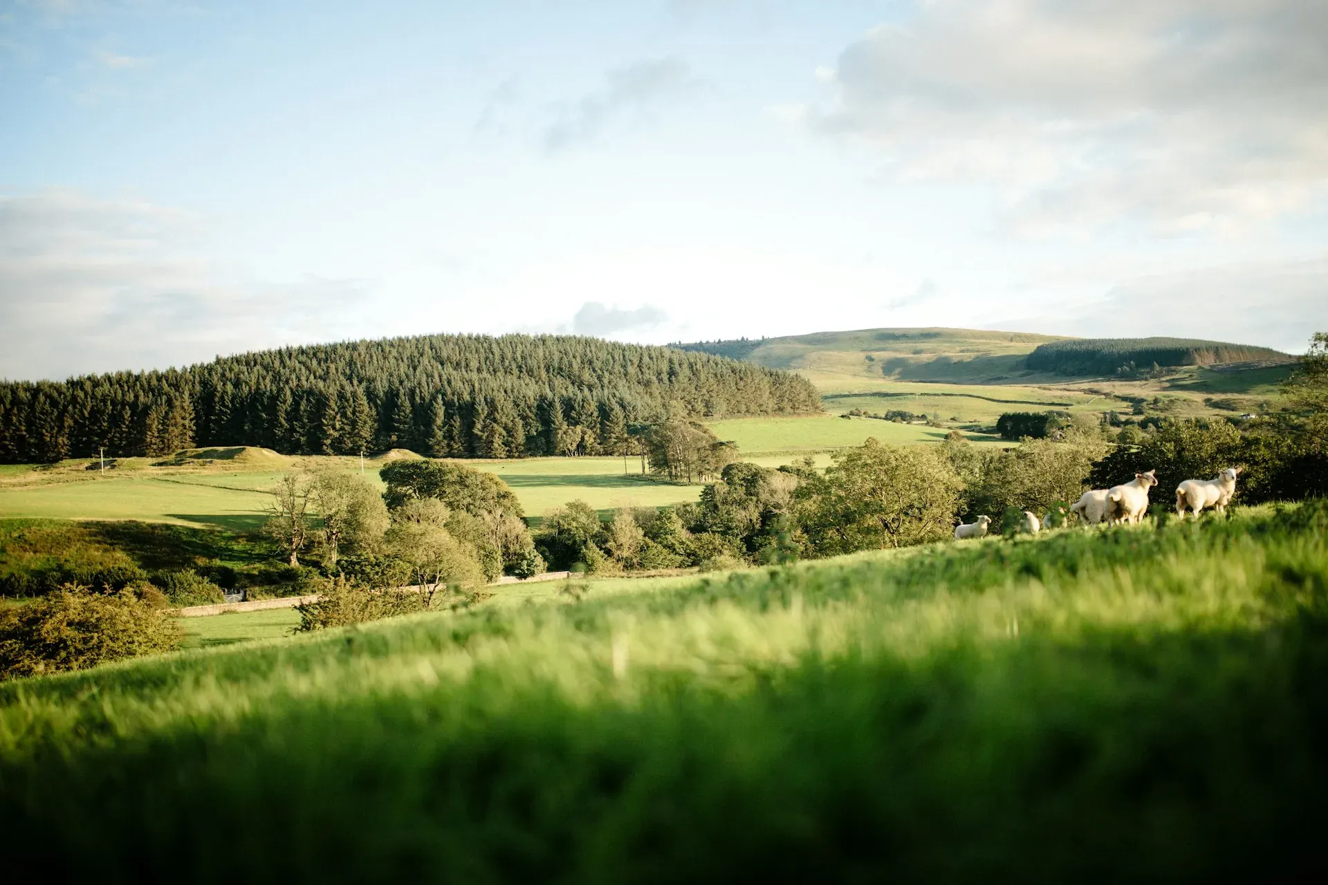 Enwild Retreat at Willowbrook Farm, Oxfordshire