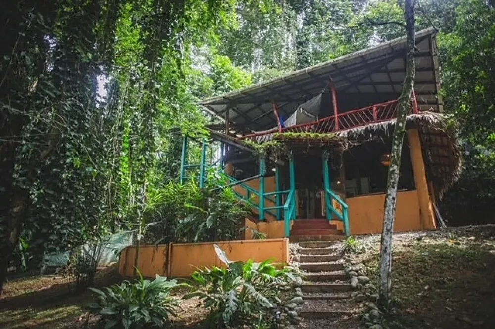Eso Terra, Holistic Campus — set along the vibrant Caribbean coast of Puerto Viejo de Talamanca, the campus is immersed in a tropical paradise. Expect lush greenery, the sounds of the jungle, and the nearby rhythm of the ocean, creating a naturally serene and invigorating atmosphere.