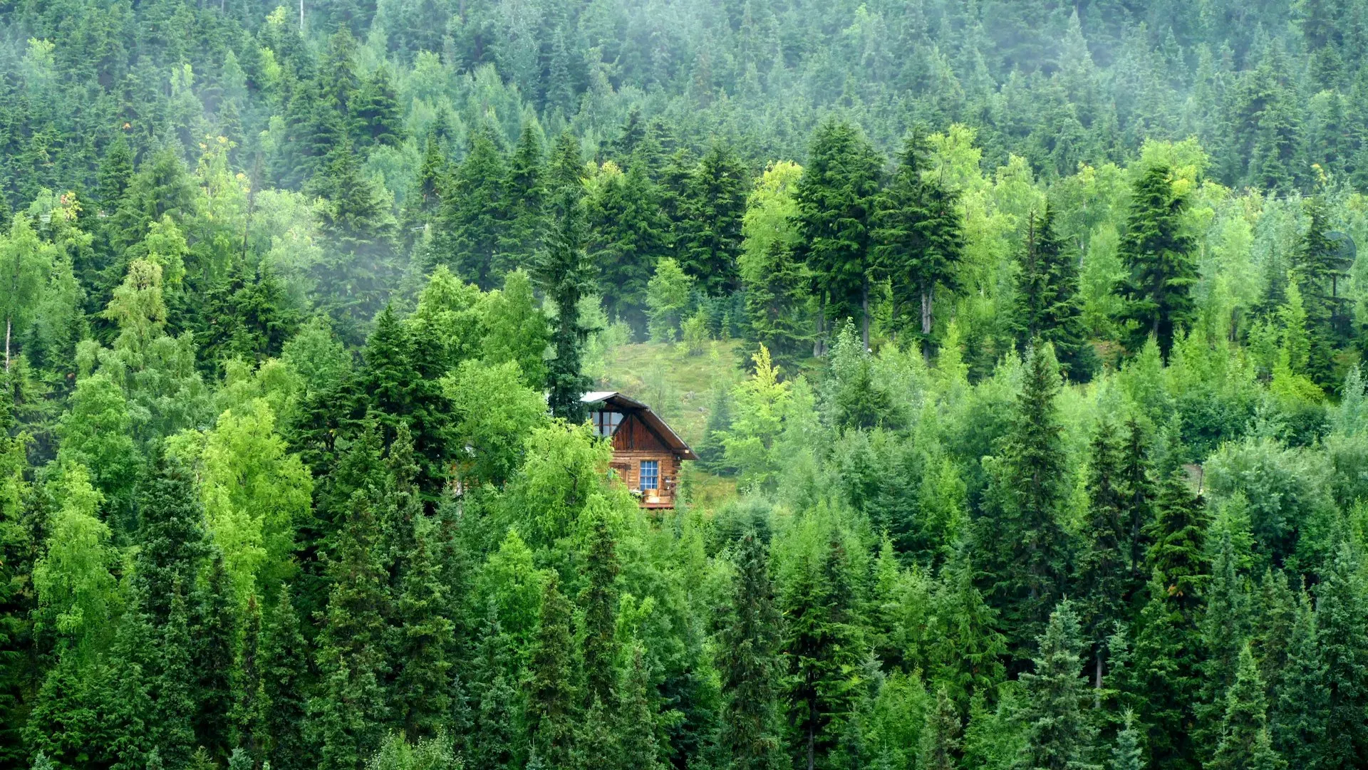 Feathered Pipe Ranch