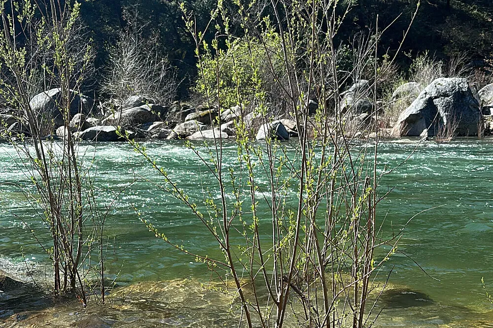 Finca Mía — The center is situated on the banks of the Talari River, offering a peaceful waterfront environment. It's set against the impressive backdrop of Mount Chirripo, suggesting lush natural surroundings and opportunities for connection with the outdoors.