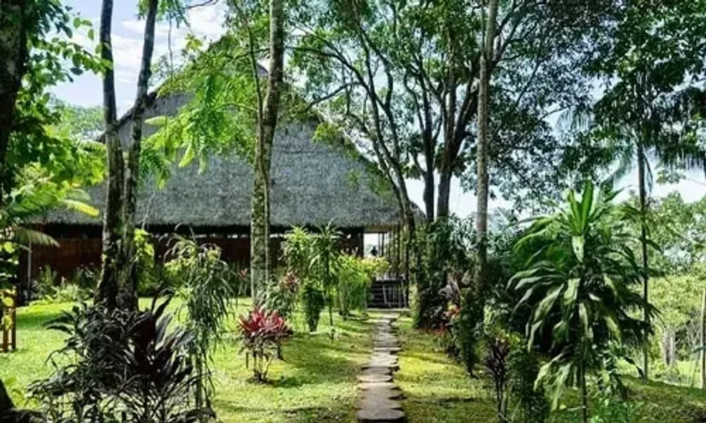 Flower of life Ayahuasca healing center 