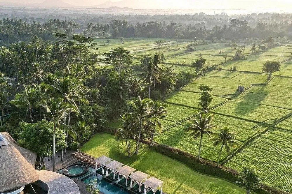 Gdas Wellness & Health Resort Resort — The resort is located in Ubud, the vibrant cultural and spiritual hub of Bali. This area is known for its lush landscapes, rice paddies, and a strong sense of artistic and spiritual community, providing a naturally calming and inspiring backdrop for wellness pursuits.