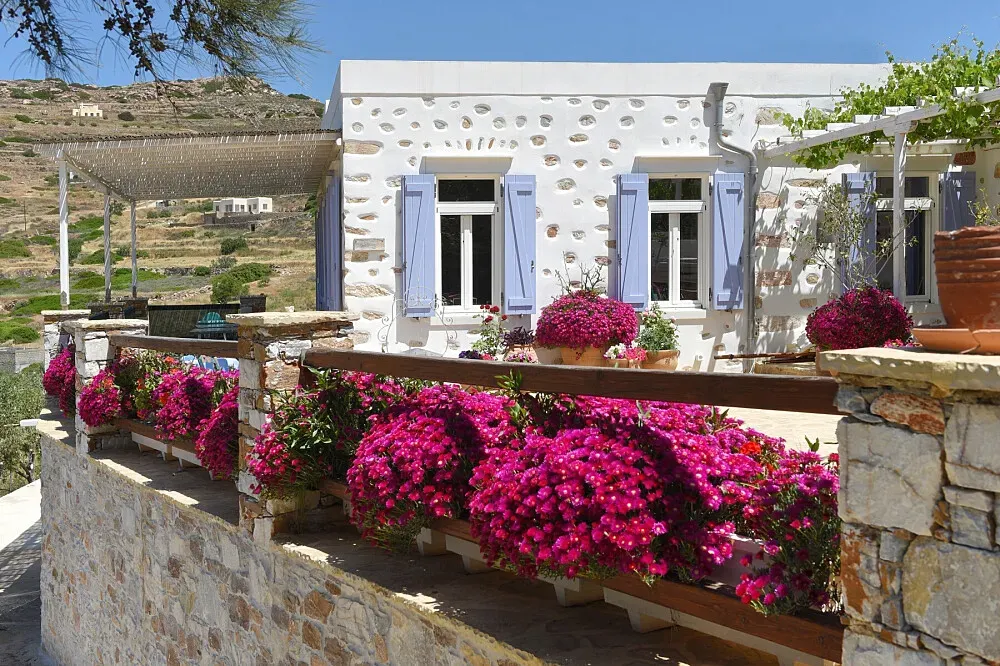 Good Life Greece — set in the charming area of Poseidonia on Syros, the center is surrounded by olive farms and rural properties, offering a peaceful, rustic atmosphere. The short walk to Voulgari beach provides easy access to the Aegean Sea, blending countryside tranquility with coastal beauty.