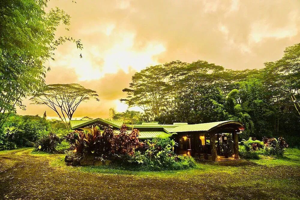 Hawaiian Sanctuary Retreat Center — Nestled within the vibrant jungle of the Big Island, the Hawaiian Sanctuary Retreat Center offers a truly immersive natural experience. The air is thick with the scent of tropical flora, and the sounds of local wildlife create a serene backdrop for relaxation and rejuvenation. Expect lush greenery, open spaces, and a deep connection to the island's unique ecosystem.