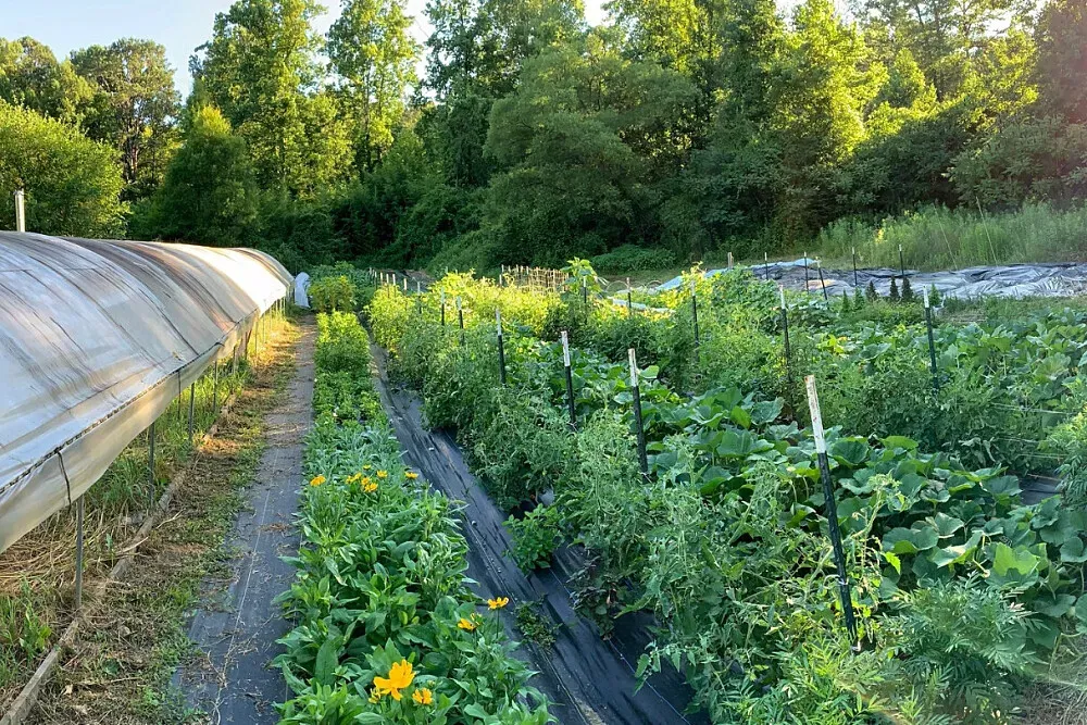 Kaluna Farm — retreat center