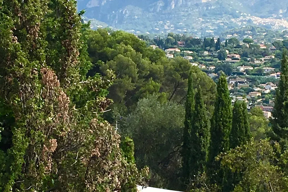 Le Domaine du Mas de Pierre — Le Domaine du Mas de Pierre is nestled within the charming French town of St. Paul de Vence, offering a tranquil escape with easy access to the vibrant French Riviera. The property itself is characterized by incredible views, meticulously maintained lush gardens, and expansive grounds that invite peaceful contemplation.