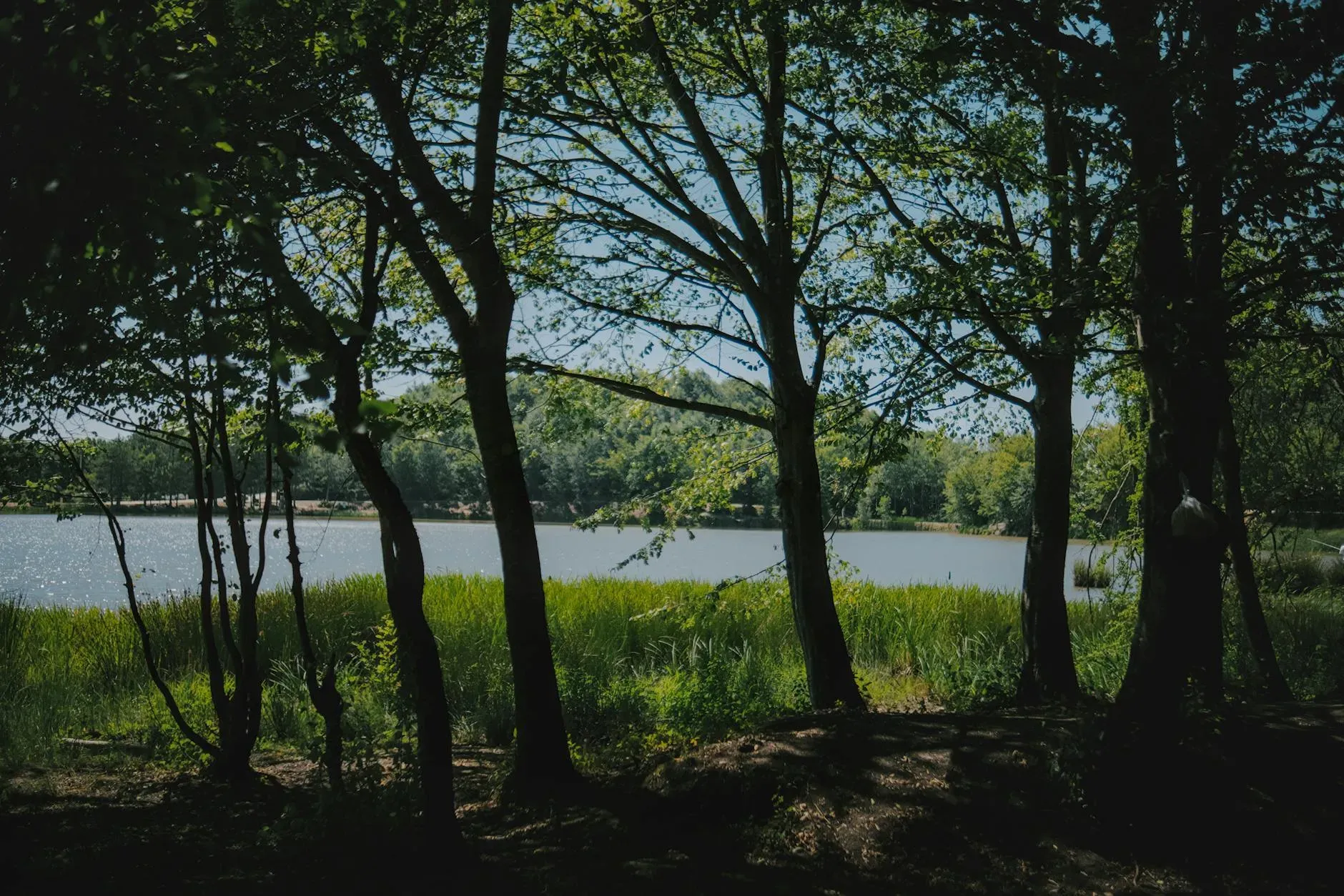 Lloyd's Meadow Glamping — The retreat is situated within a landscape of peaceful lakes and mature woodland, creating a naturally serene environment. It's an off-grid setting, fostering a sense of disconnection from the everyday hustle, yet remains conveniently close to the amenities of Chester and the expansive Delamere Forest.