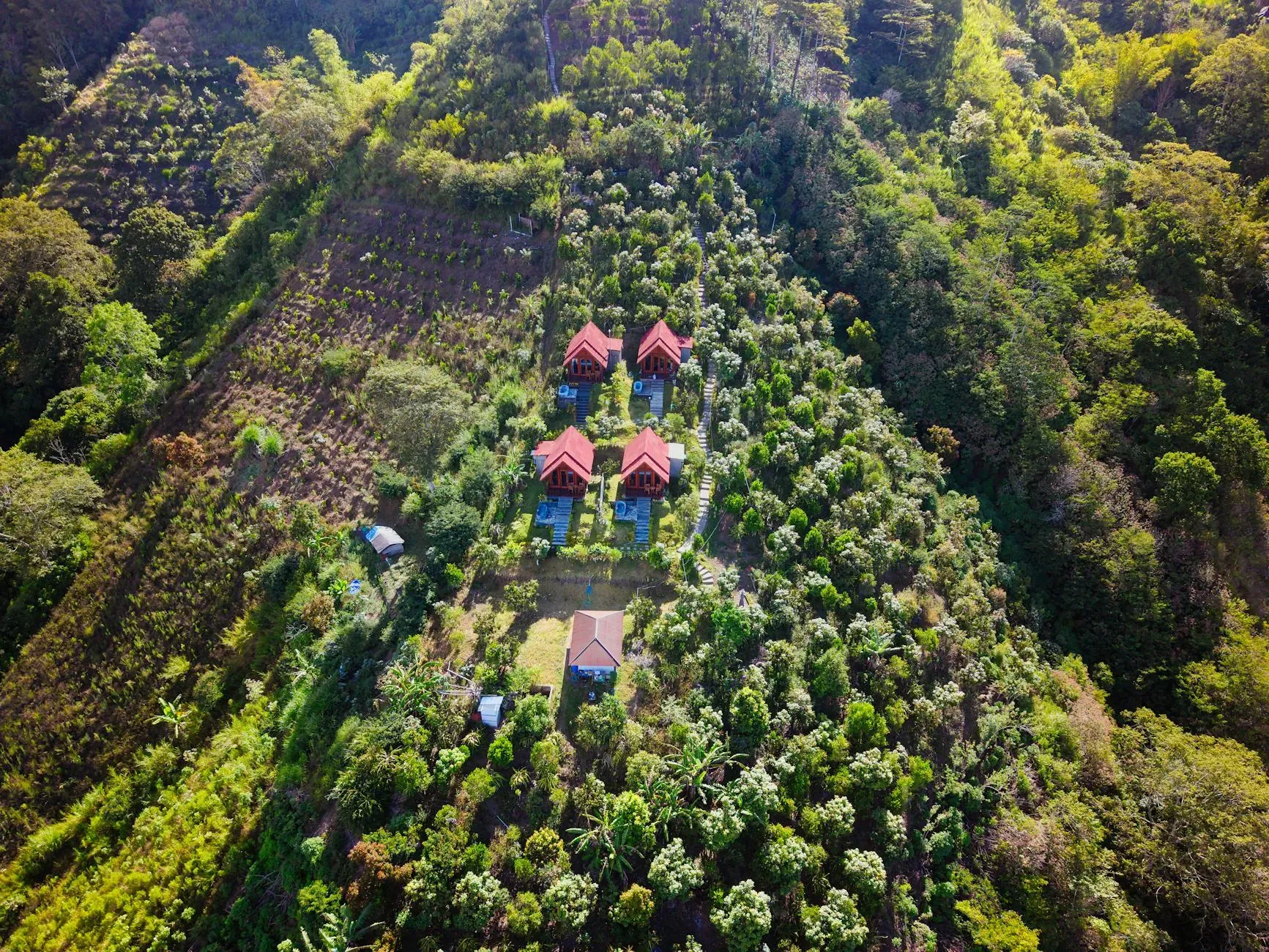 Lodge In The Woods — The retreat is situated within a sacred forest, providing a serene and deeply natural environment. The atmosphere is one of luxury and spiritual immersion, with the natural beauty of the woods complementing the profound teachings offered.