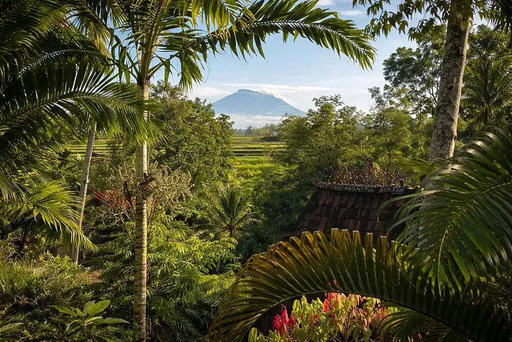 Lumina Sanctuary — The sanctuary is set within the lush, tropical landscape of Ubud, Bali. Surrounded by vibrant greenery, the atmosphere is one of profound peace and natural beauty, designed to foster a sense of calm and connection with the environment.