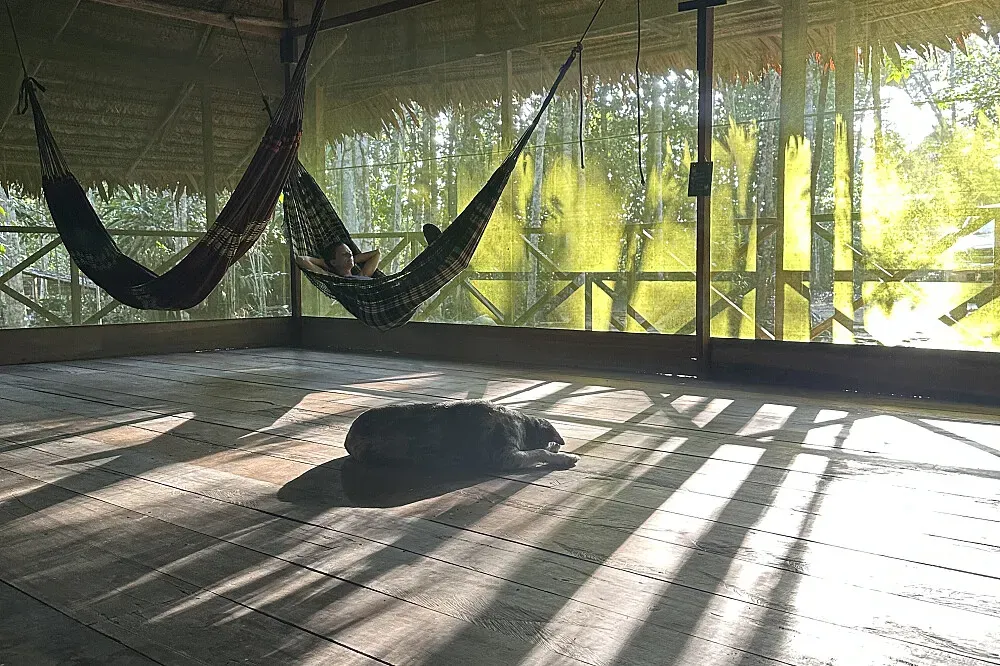 Maya Ayahuasca Retreat — Located an hour from Iquitos, Peru, the retreat is nestled deep within the Amazon jungle. This truly unique and beautiful setting is considered integral to the healing process, with the natural environment believed to enhance the effects of the plant medicine.