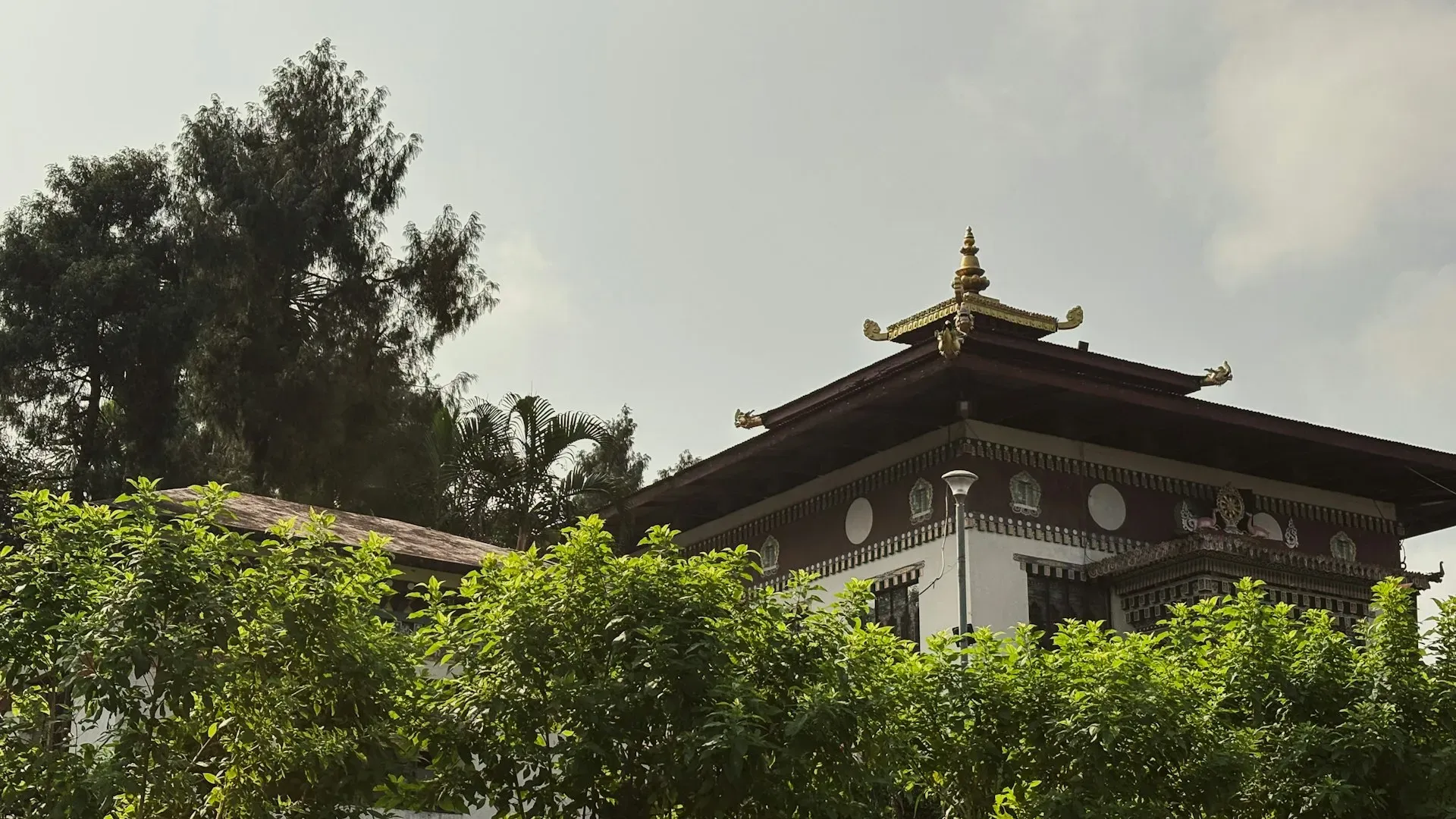 Mind Retreat Center — The specific setting of Mind Retreat Center in Wilp is not detailed, but the emphasis on a 'warm, nurturing atmosphere' suggests a peaceful and perhaps intimate environment, likely designed to foster a sense of comfort and ease for meditators.