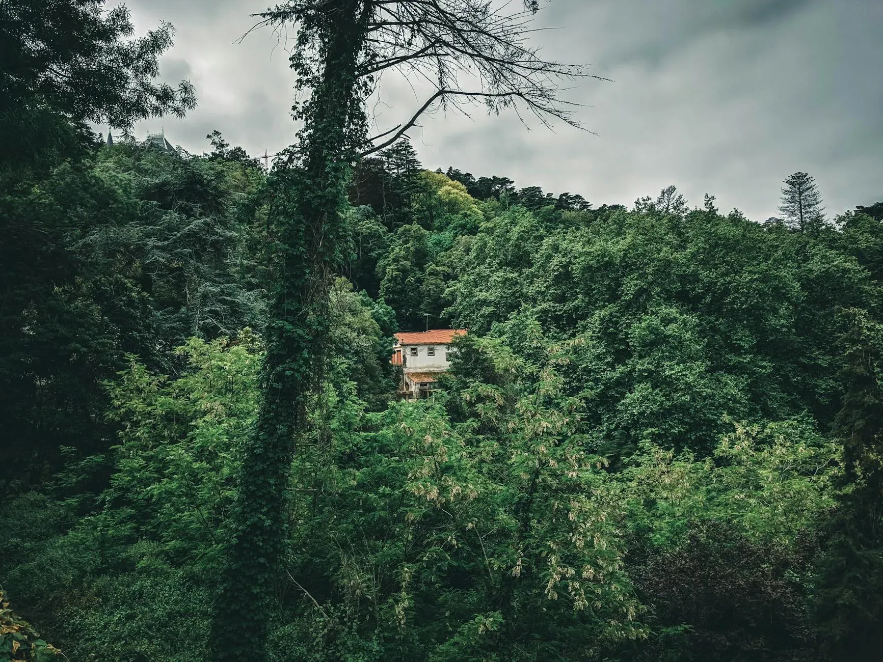 Monte Da Japonica — The retreat is set within a historic estate, surrounded by a cork forest dotted with ancient olive and cork trees. It lies within the Serra d'Ossa, a small mountain range with a history of monastic inhabitants, lending a deeply peaceful and reflective atmosphere to the bucolic surroundings.