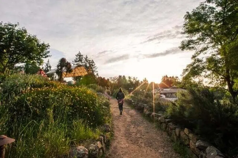 Mount Madonna Center — The center is situated on 355 acres of peaceful mountain-top redwood forest and grassland, offering spectacular views of Monterey Bay. Its location between Santa Cruz and Monterey provides a natural, secluded atmosphere.