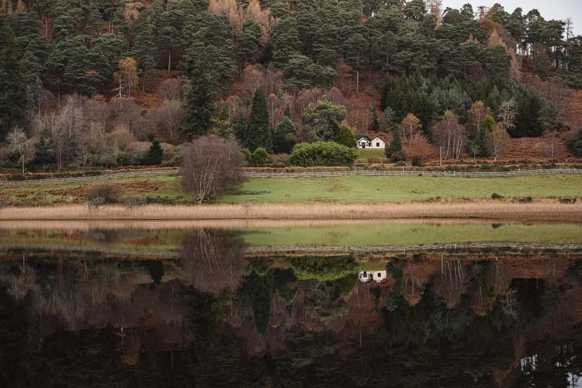 Mucklagh Lodge 