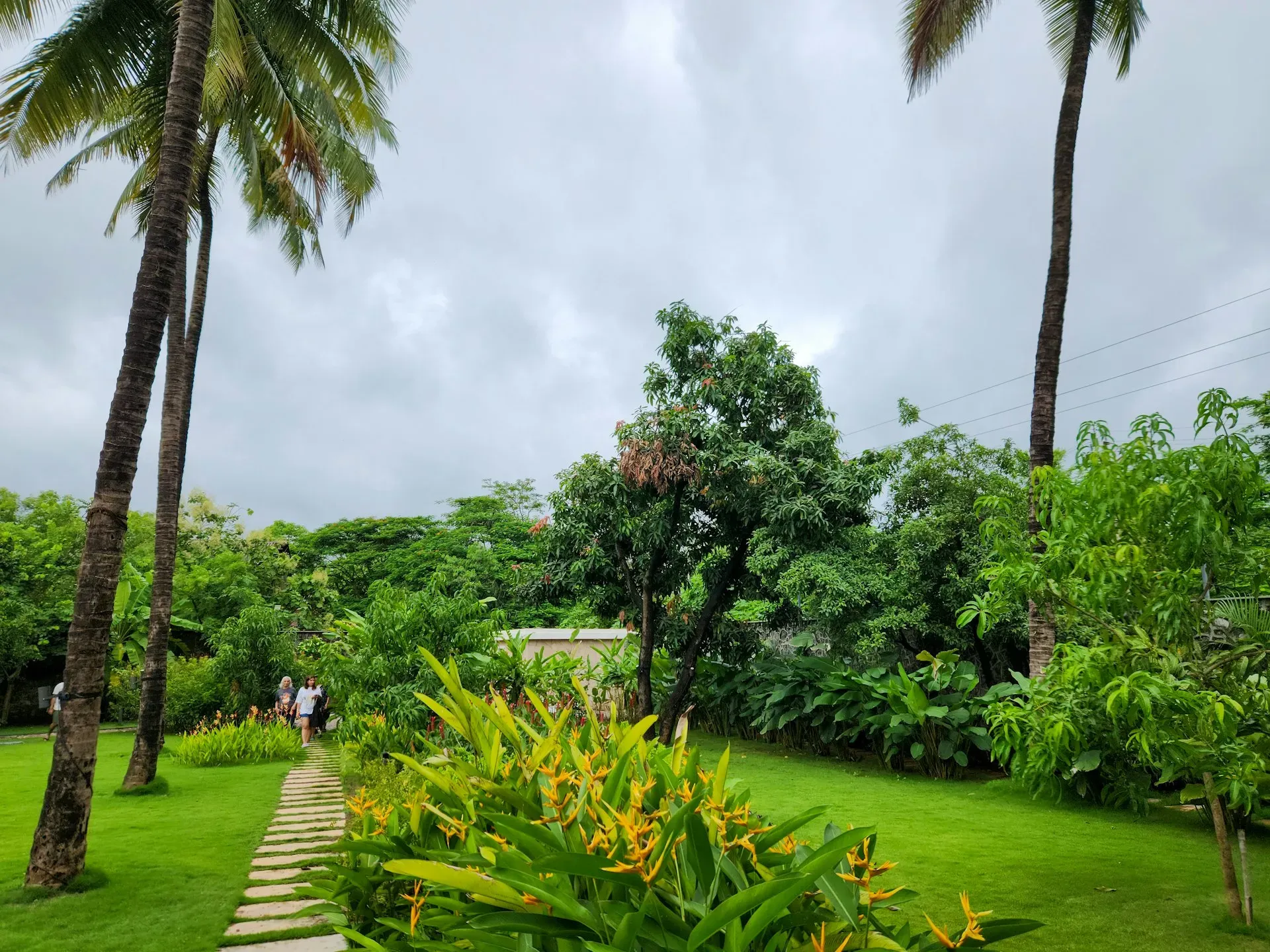 Nemoz Diving Center and Tahiti Shark Expeditions — Located in Temae, this center is perfectly situated to explore the vibrant marine ecosystems of Tahiti. Expect a setting dominated by the ocean, with opportunities to immerse yourself in the clear, warm waters and encounter diverse sea life.
