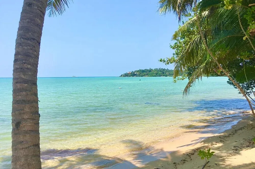 NeuroSomatic Breath — NeuroSomatic Breath's retreats are held in various locations across Koh Phangan, chosen for their natural beauty and supportive atmosphere. Depending on the specific retreat, you might find yourself by the beach, amidst peaceful gardens, or within easy reach of local amenities. The focus is always on a natural, calming environment conducive to deep personal work.