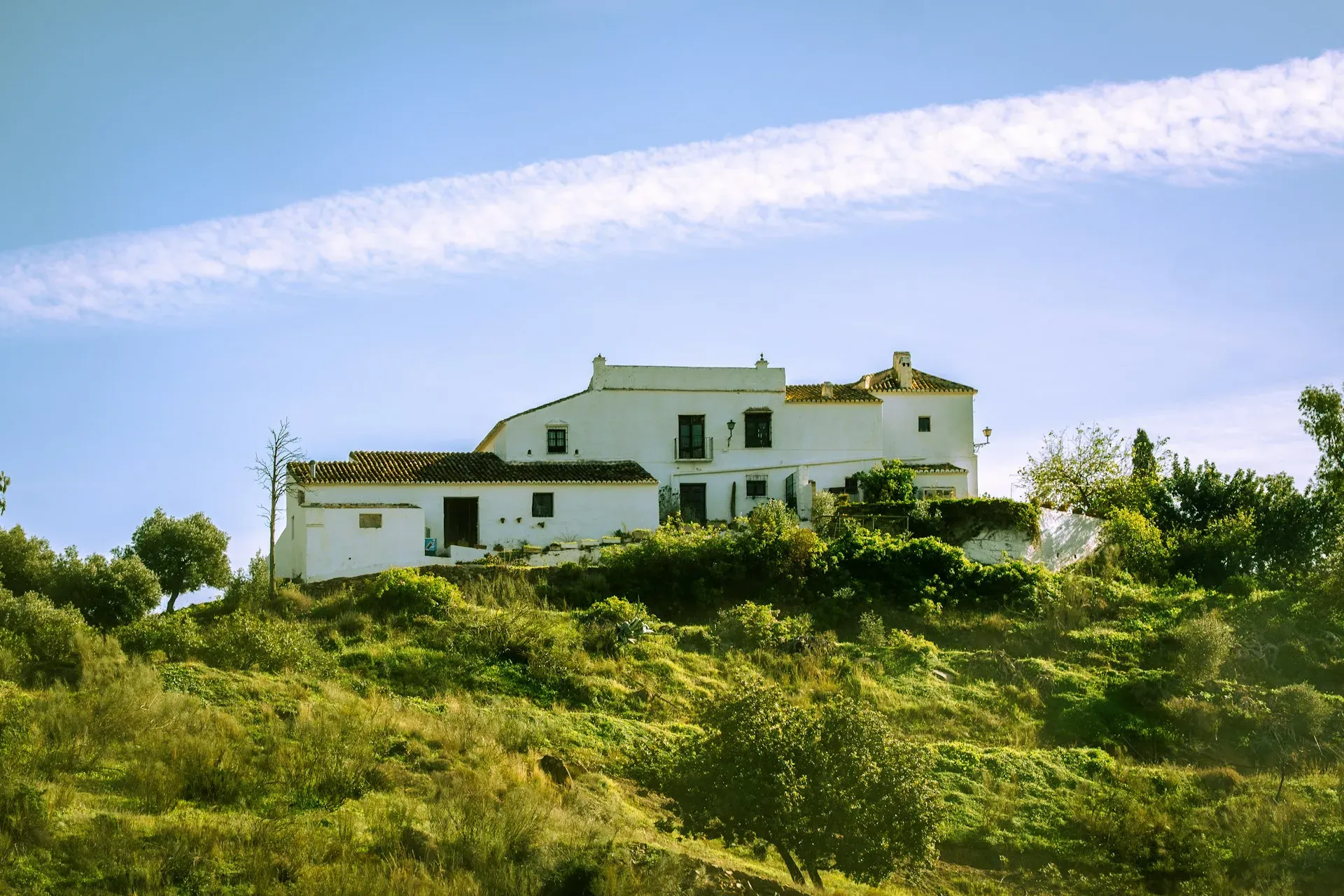 Oasis Premium Recovery — set in the beautiful region of Andalusia, the retreat offers a serene and private atmosphere designed for deep recovery. The location provides a tranquil backdrop, allowing guests to fully disengage from external stressors and focus on their well-being.