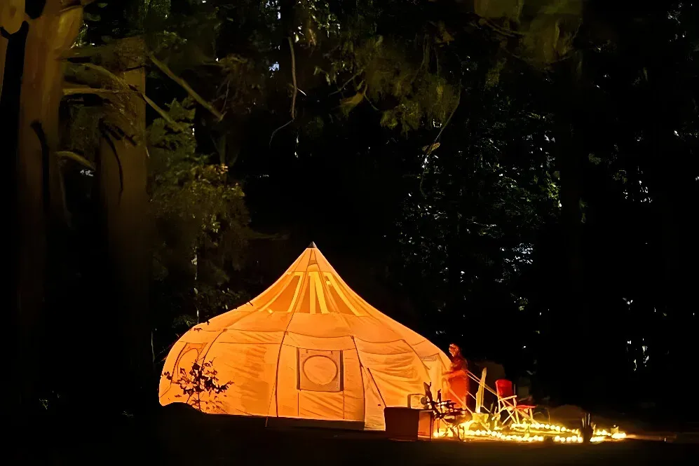 Om Sweet Om Farm — The farm is situated in the beautiful, rolling hills of Grass Valley, offering a serene and natural environment. Animals roam freely, contributing to a tranquil and harmonious atmosphere that encourages connection with nature.