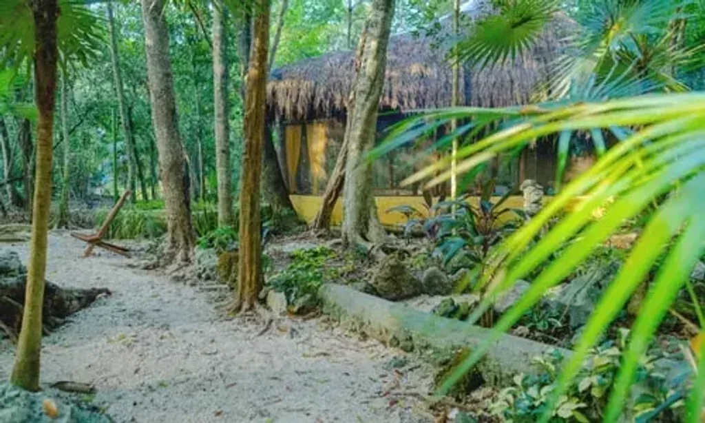 One Breath of Yoga Ashram — The ashram is situated in the midst of the Mayan jungle, offering an intimate and healing atmosphere. The natural surroundings are described as magical, providing a tranquil backdrop for practice and reflection. The nearby beaches of Puerto Morelos are easily accessible.