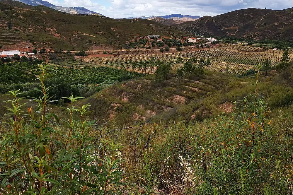 Orange Eco Land — The exact location in Portugal is not specified, but the name 'Orange Eco Land' evokes images of sun-drenched groves and a connection to the earth. Expect a natural, perhaps rustic, environment where sustainability is a core principle, likely surrounded by the quiet beauty of the Portuguese landscape.