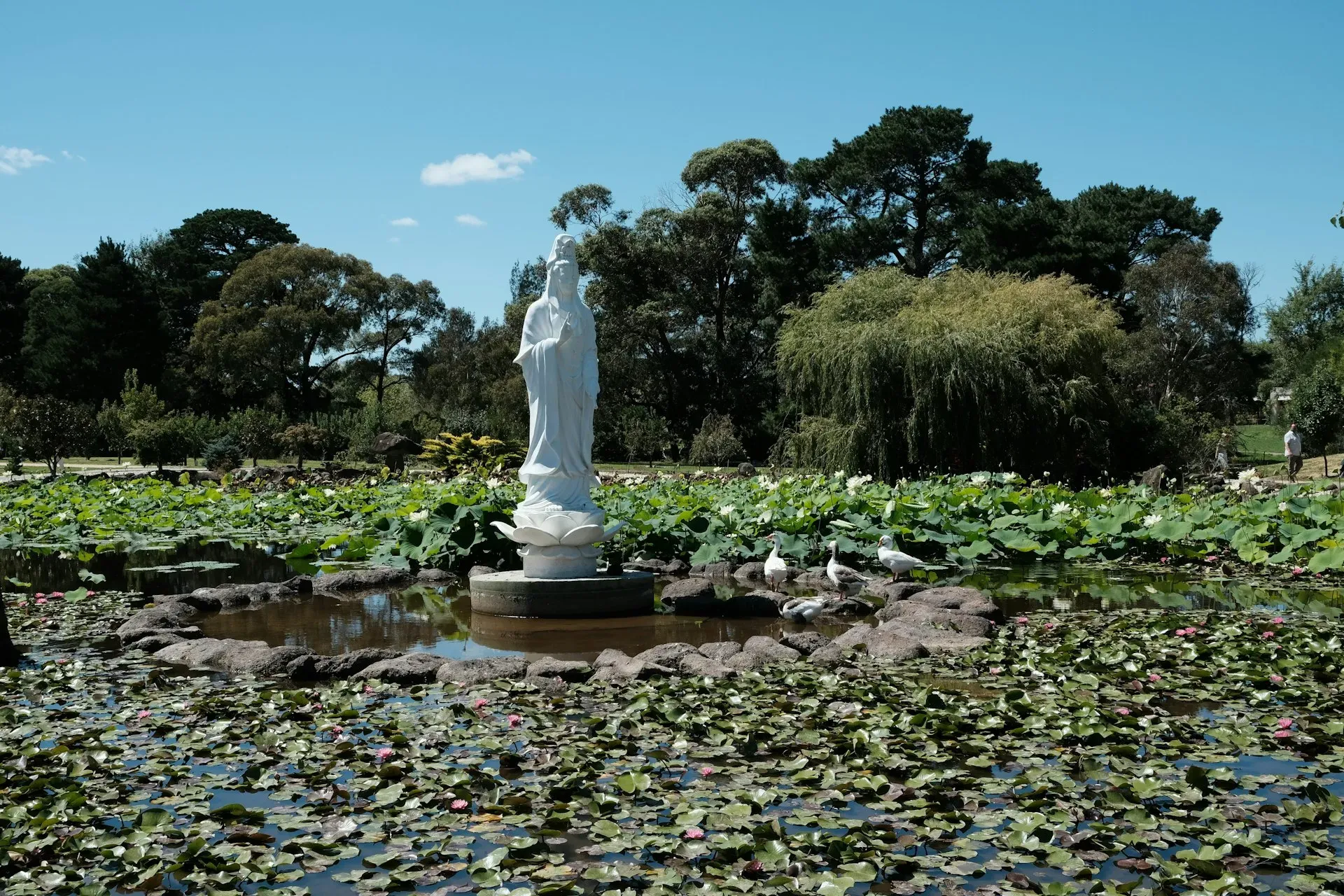 Peninsula Flower House — The center is situated on 50 acres of uninterrupted coastal farmland in Victoria, offering expansive views of rolling fields and distant glimpses of the ocean. The atmosphere is one of serene natural beauty, ideal for those seeking quiet contemplation away from urban distractions.