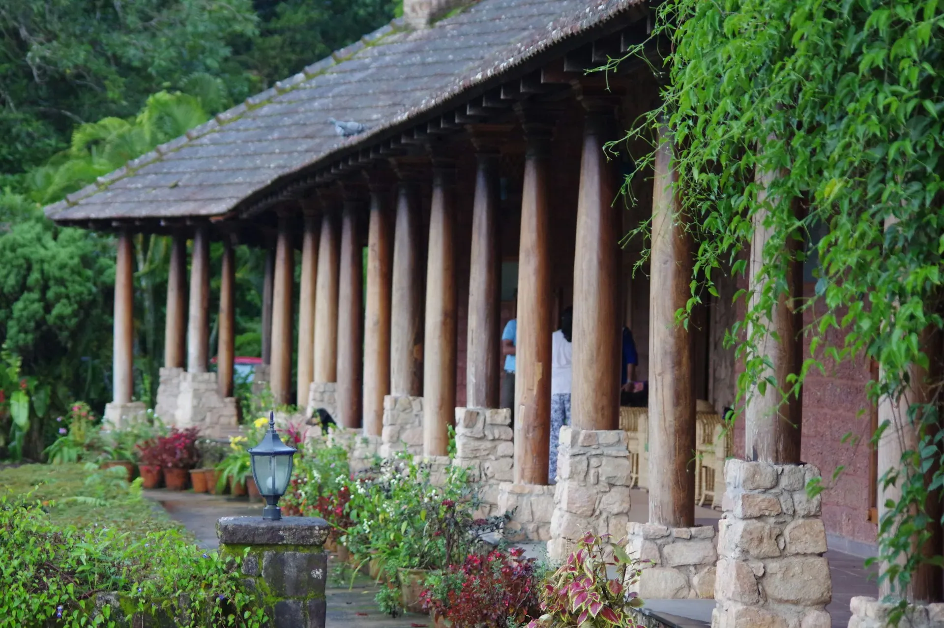 Prajna Kuteera Ayurveda Centre — The center is located in Kergalli, a countryside area approximately 8 kilometers from the tranquil city of Mysore. The surroundings are picturesque, offering a peaceful backdrop for healing and introspection.