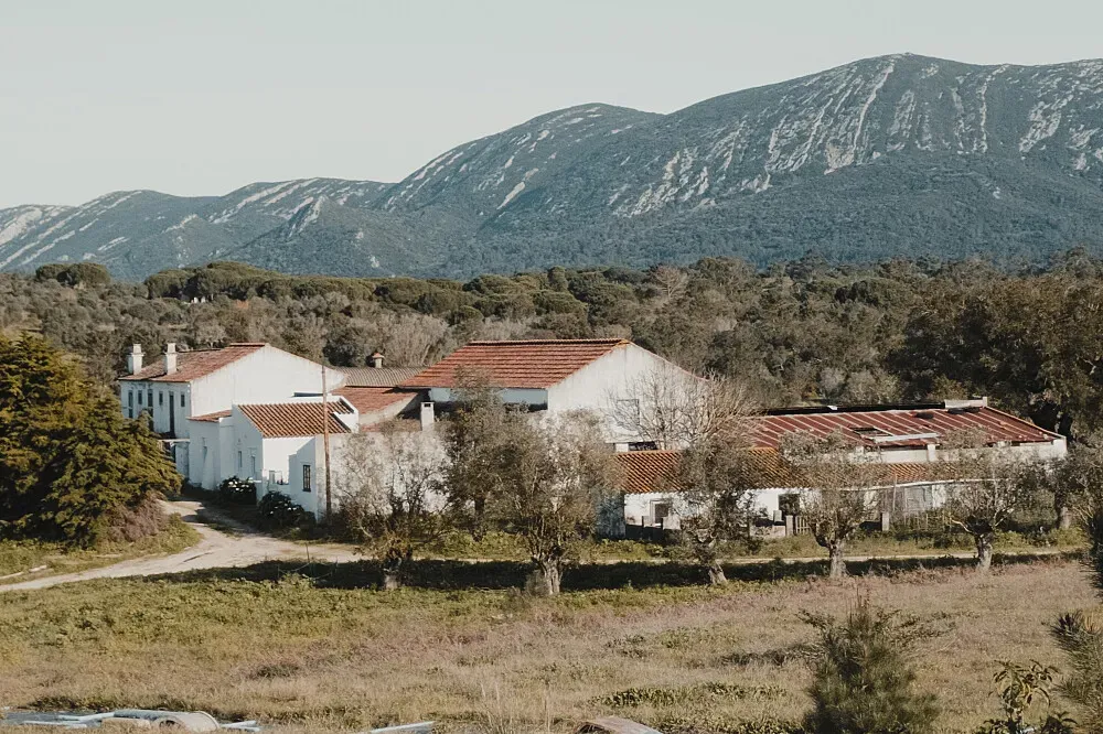 Quinta do Rio — The retreat is set across 76 hectares of diverse landscape, characterized by rolling hills and an extraordinary variety of trees, flowers, and unique fauna. A river borders the property, complemented by two water wells, contributing to its rich, verdant atmosphere. Adding to the charm are two hectares dedicated to local vineyards.