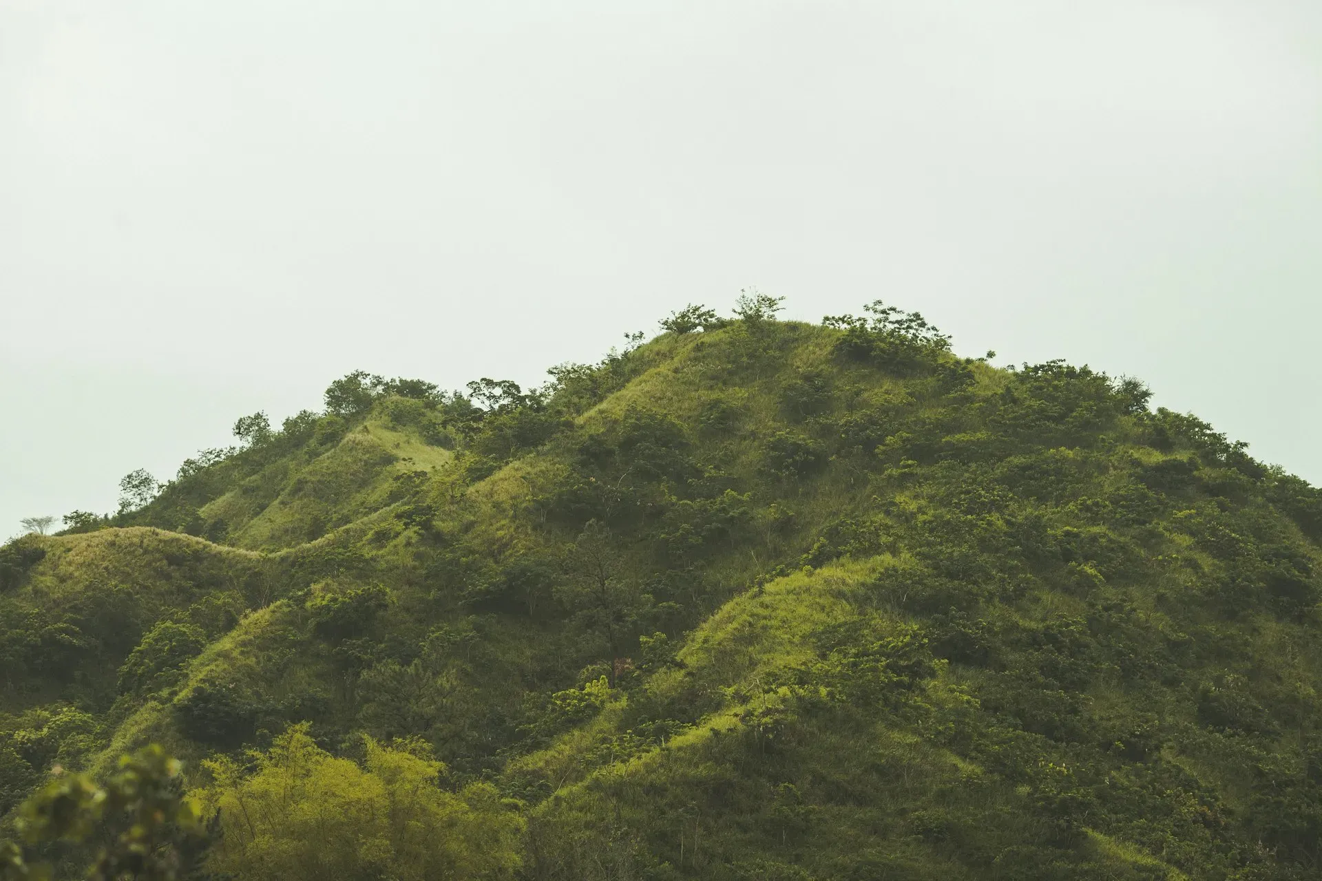 Raha's Retreat — The retreat is situated in the lush green hills just outside Negril, Westmorland, Jamaica. This serene, natural environment provides a magical backdrop for communing with Mother Nature, surrounded by verdant woodlands.