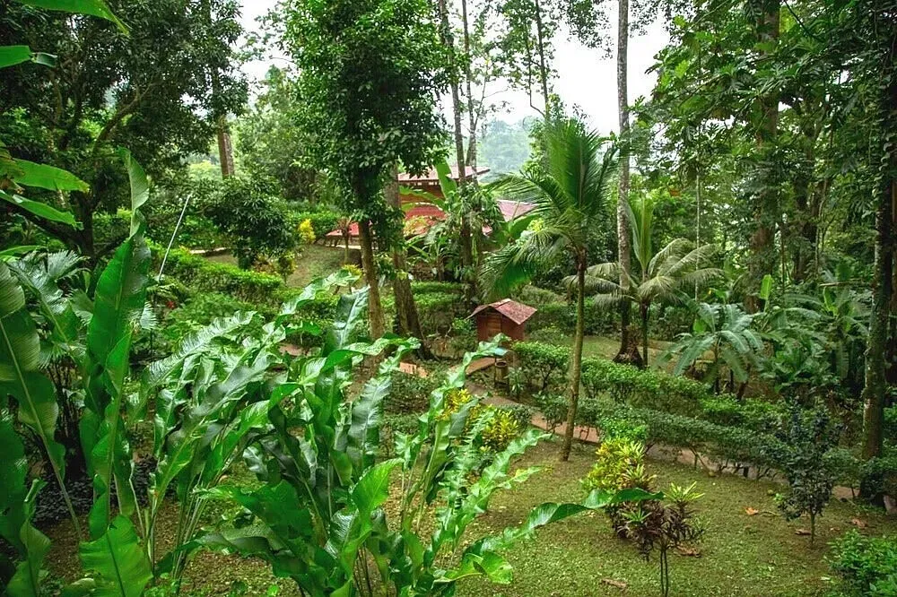 Samasati Yoga and Wellness Retreat — Samasati is situated on a mountain ridge, providing breathtaking views of the Caribbean Sea and the surrounding rainforest. The atmosphere is one of tranquility and natural beauty, with the sounds and sights of the jungle creating a deeply immersive experience.