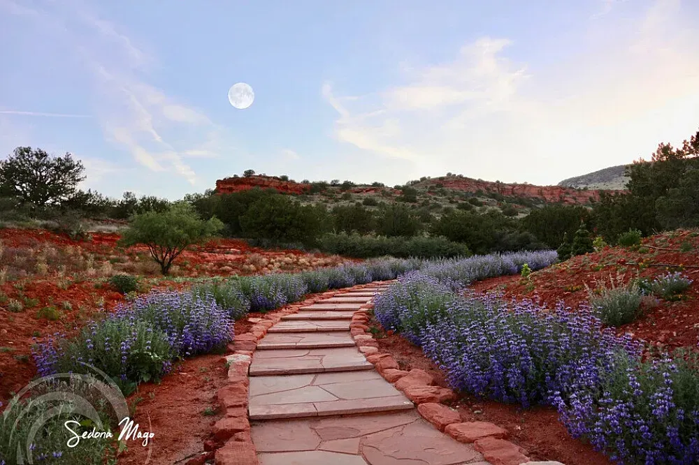 Sedona Mago Center for Wellbeing — The center is situated in the breathtaking landscape of Sedona, Arizona, renowned for its vibrant red rock formations and spiritual energy. The atmosphere is one of serene natural beauty, encouraging a deep connection with the environment.