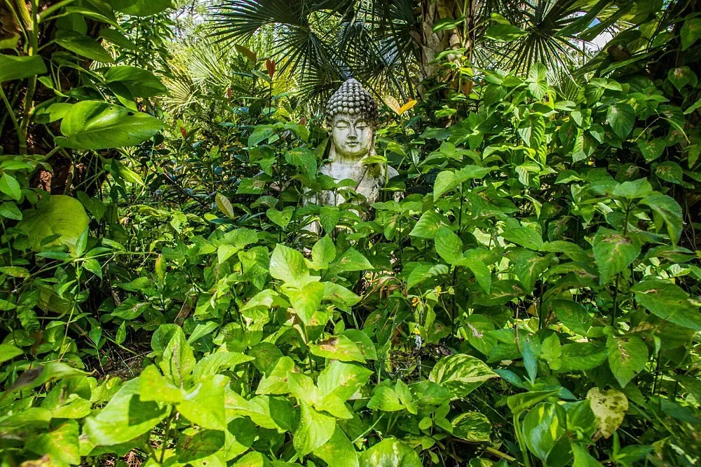 Shambala Retreat Center — The center is a nature sanctuary located just 30 minutes outside of West Palm Beach, Florida. It boasts a rich environment filled with exotic flowers, diverse fauna, and ample sunlight. The landscape is dotted with deity statues and tranquil water sanctuaries, creating a serene and spiritually resonant atmosphere.