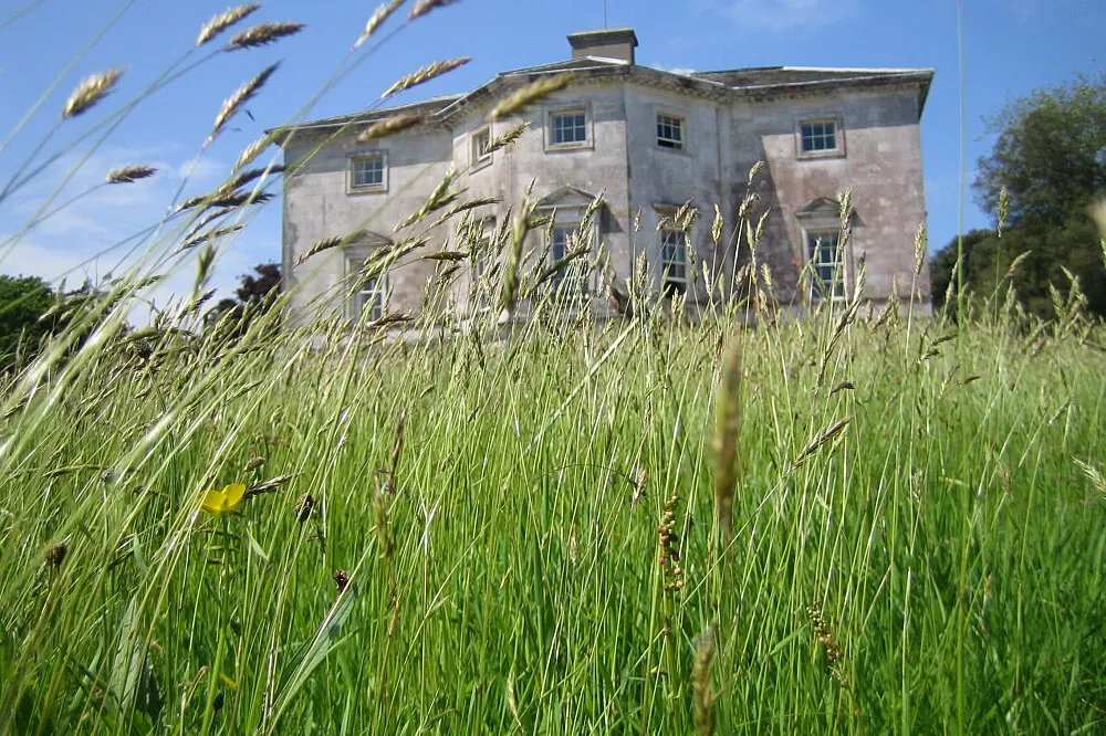 Sharpham House — Sharpham House is set within the sprawling Sharpham Estate, a picturesque landscape in Devon. The Georgian mansion itself exudes a timeless elegance, surrounded by lush greenery and the tranquil ambiance of the countryside. This setting provides a perfect escape, allowing guests to connect with nature and find peace away from urban life.