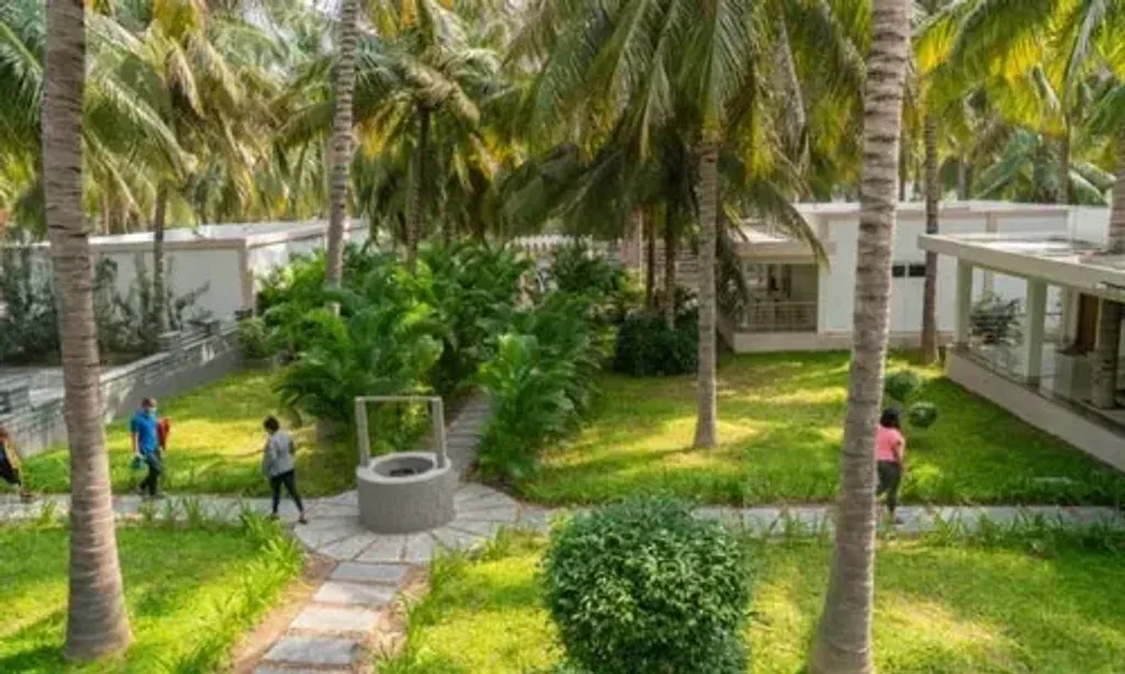 Shri Sivalaya Holistic Wellness — The center is situated within a sprawling 18-acre green sanctuary, characterized by fragrant air, the sounds of sparrows, and the sight of dancing peacocks. Tall canopies and endless coconut trees contribute to a deeply peaceful and natural atmosphere, providing a tranquil escape from urban life.