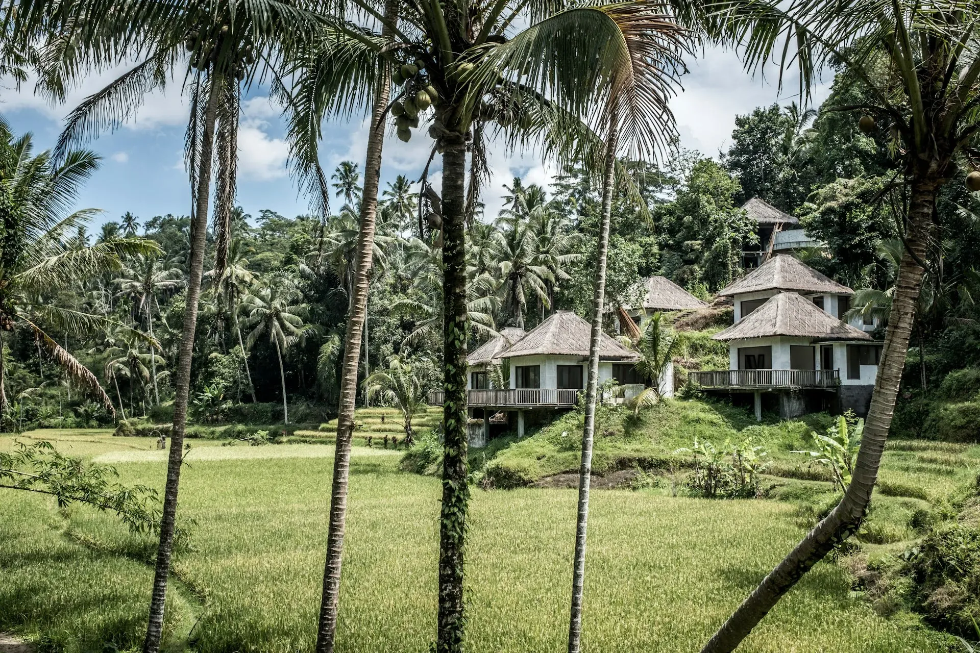 Soulshine Bali — Nestled amidst the verdant rice fields and lush tropical landscape of Bali, Soulshine Bali offers a serene yet vibrant atmosphere. The resort provides a tranquil base from which to explore the natural beauty of Ubud and its surroundings, with opportunities for both relaxation and adventure.