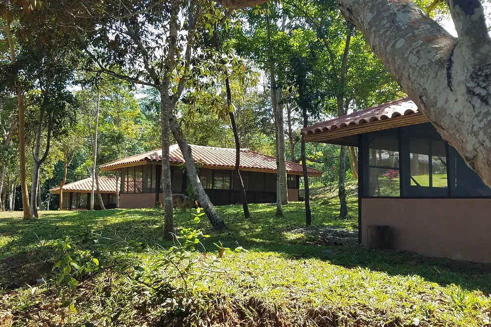 Tambo Ilusión — set in the lush, vibrant landscape of the northern Peruvian Amazon, Tambo Ilusión provides a serene and intimate environment. The center is also a private conservation property, allowing guests to experience the rich biodiversity of the jungle firsthand. The atmosphere is one of peaceful immersion in nature, with the sounds and sights of the Amazon creating a truly unique backdrop for retreat.